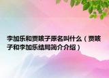 李加乐和贾咳子原名叫什么（贾咳子和李加乐结局简介介绍）