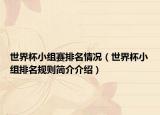 世界杯小组赛排名情况（世界杯小组排名规则简介介绍）