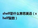 shelf是什么意思英语（shelf复数）