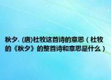 秋夕. (唐)杜牧这首诗的意思（杜牧的《秋夕》的整首诗和意思是什么）
