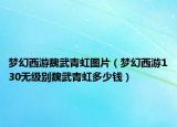 梦幻西游魏武青虹图片（梦幻西游130无级别魏武青虹多少钱）