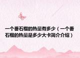 一个番石榴的热量有多少（一个番石榴的热量是多少大卡简介介绍）