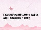下绿鸡蛋的鸡是什么品种（绿皮鸡蛋是什么品种鸡简介介绍）