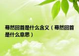 蓦然回首是什么含义（蓦然回首是什么意思）