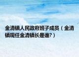 金清镇人民政府班子成员（金清镇现任金清镇长是谁?）