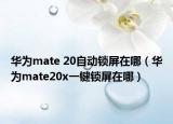 华为mate 20自动锁屏在哪（华为mate20x一键锁屏在哪）