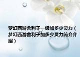 梦幻西游舍利子一级加多少灵力（梦幻西游舍利子加多少灵力简介介绍）