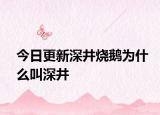 今日更新深井烧鹅为什么叫深井