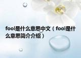 fool是什么意思中文（fool是什么意思简介介绍）