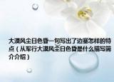 大漠风尘日色昏一句写出了边塞怎样的特点（从军行大漠风尘日色昏是什么描写简介介绍）