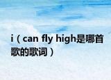 i（can fly high是哪首歌的歌词）