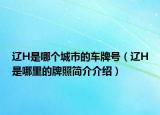 辽H是哪个城市的车牌号（辽H是哪里的牌照简介介绍）