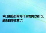 今日更新白带为什么发黄(为什么最近白带变黄了)