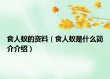 食人蚁的资料（食人蚁是什么简介介绍）