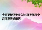 今日更新怀孕多久长(怀孕第几个月体重增长最快)