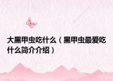 大黑甲虫吃什么（黑甲虫最爱吃什么简介介绍）