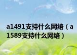 a1491支持什么网络（a1589支持什么网络）