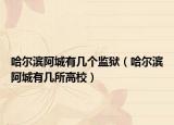 哈尔滨阿城有几个监狱（哈尔滨阿城有几所高校）