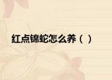 红点锦蛇怎么养（）