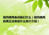 割肉喂鹰告诉我们什么（割肉喂鹰的真正法意是什么简介介绍）
