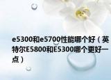 e5300和e5700性能哪个好（英特尔E5800和E5300哪个更好一点）