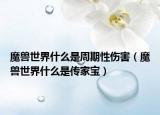 魔兽世界什么是周期性伤害（魔兽世界什么是传家宝）