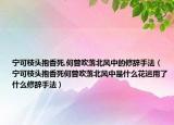 宁可枝头抱香死,何曾吹落北风中的修辞手法（宁可枝头抱香死何曾吹落北风中是什么花运用了什么修辞手法）