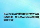 在windows的绝对路径中用什么表示根目录（什么是windows根目录简介介绍）