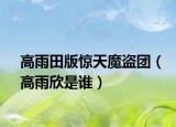 高雨田版惊天魔盗团（高雨欣是谁）