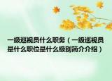 一级巡视员什么职务（一级巡视员是什么职位是什么级别简介介绍）