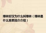 绿林好汉为什么叫绿林（绿林是什么意思简介介绍）