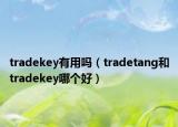 tradekey有用吗（tradetang和tradekey哪个好）