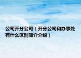 公司开分公司（开分公司和办事处有什么区别简介介绍）