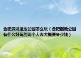 合肥滨湖湿地公园怎么玩（合肥湿地公园有什么好玩的两个人去大概要多少钱）