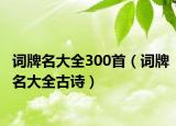 词牌名大全300首（词牌名大全古诗）