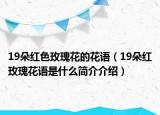 19朵红色玫瑰花的花语（19朵红玫瑰花语是什么简介介绍）