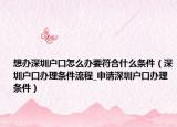 想办深圳户口怎么办要符合什么条件（深圳户口办理条件流程_申请深圳户口办理条件）
