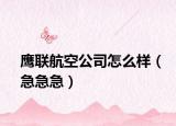 鹰联航空公司怎么样（急急急）