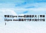 苹果11pro max的屏幕多大（苹果11pro max屏幕尺寸多大简介介绍）