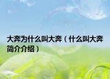 大奔为什么叫大奔（什么叫大奔简介介绍）