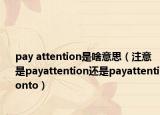 pay attention是啥意思（注意是payattention还是payattentionto）