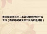 春来绿树遍天涯,三长两短是何物指什么生肖（春来绿树遍天涯三长两短是何物）