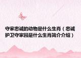 守家忠诚的动物是什么生肖（忠诚护卫守家园是什么生肖简介介绍）