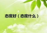 态度好（态度什么）