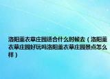 洛阳薰衣草庄园适合什么时候去（洛阳薰衣草庄园好玩吗洛阳薰衣草庄园景点怎么样）