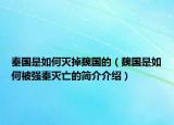 秦国是如何灭掉魏国的（魏国是如何被强秦灭亡的简介介绍）