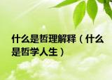 什么是哲理解释（什么是哲学人生）