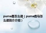 puma是怎么读（puma彪马怎么读简介介绍）