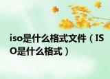 iso是什么格式文件（ISO是什么格式）