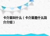 卡介苗叫什么（卡介苗是什么简介介绍）